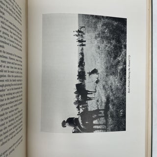 THE RANGE CATTLE INDUSTRY