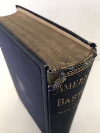 AMERICAN BASTILE: A HISTORY OF THE ILLEGAL ARREST AND IMPRISONMENT OF AMERICAN CITIZENS DURING THE LATE CIVIL WARY