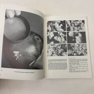 COCAINE HANDBOOK: AN ESSENTIAL REFERENCE