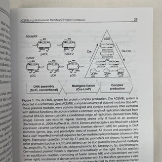 METHODS IN ENZYMOLOGY: VOLUME 556
