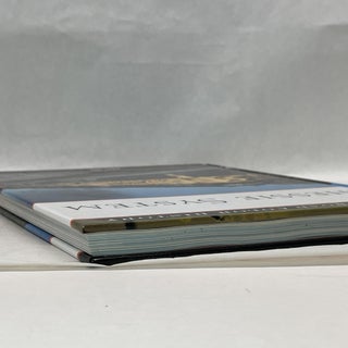 CHESSIE SYSTEM