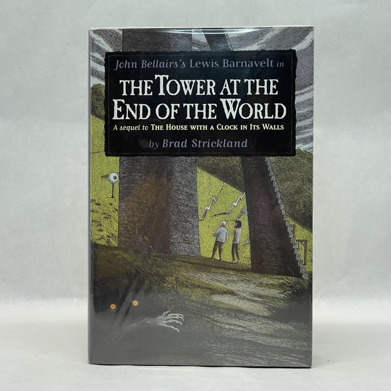 Item #64057 THE TOWER AT THE END OF THE WORLD. Brad Strickland.