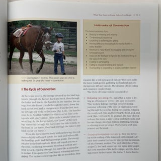 CONNECT WITH YOUR HORSE FROM THE GROUND UP: TRANSFORM THE WAY YOU SEE, FEEL, AND RIDE WITH A WHOLE NEW KIND OF GROUNDWORK