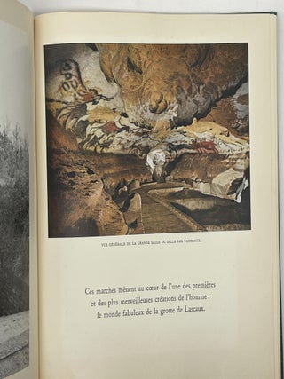 LES GRANDS SIECLES DE LA PEINTURE: LASCAUX OU LA NAISSANCE DE L'ART