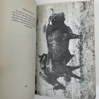 DEATH IN THE AFTERNOON