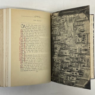 DANTE VIVO